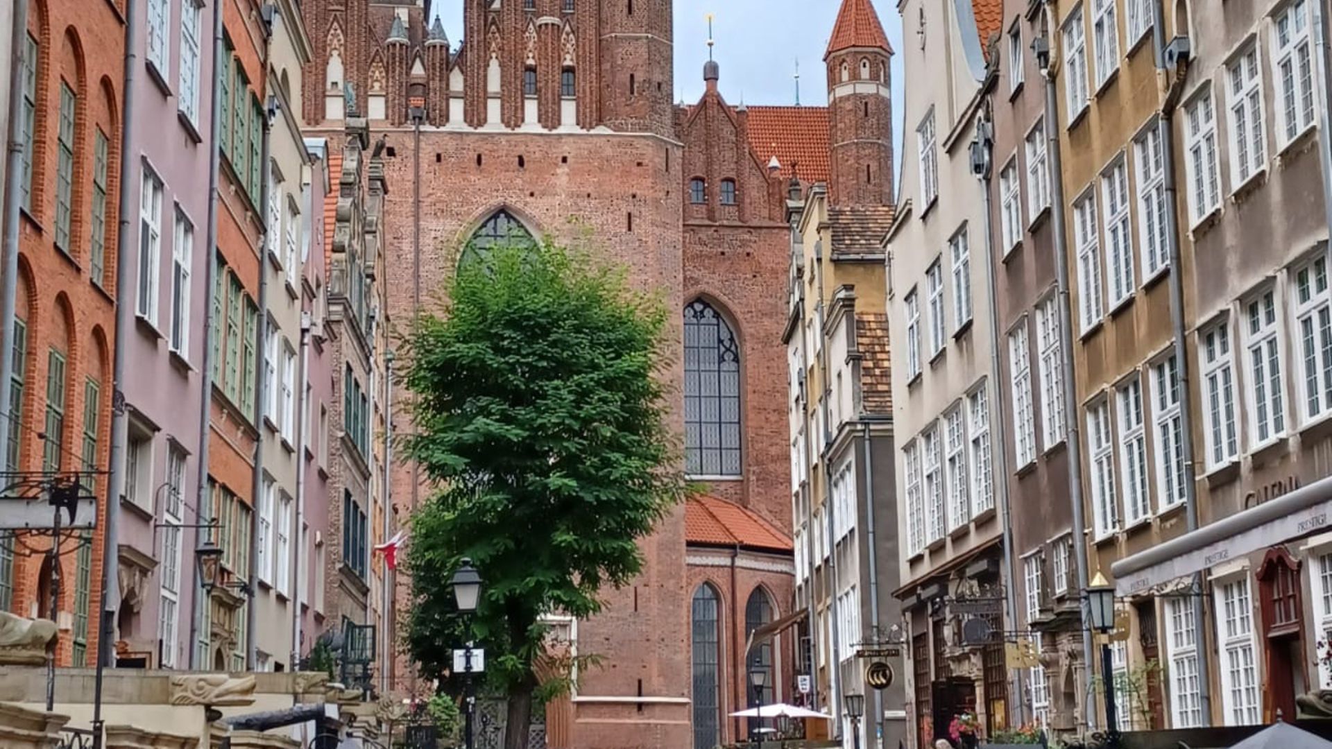 Innenstadtbild Danzig, mit grünen Baum im Fokus
