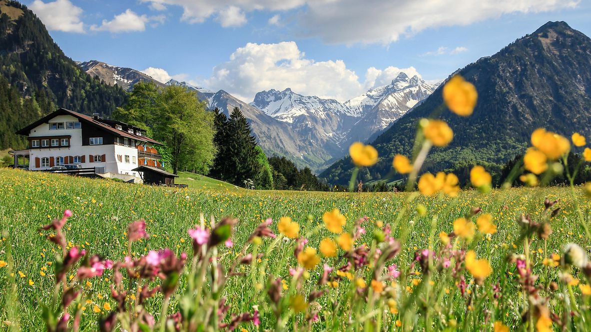 DSC01691_Collage_Reisebus_Zug_2021
