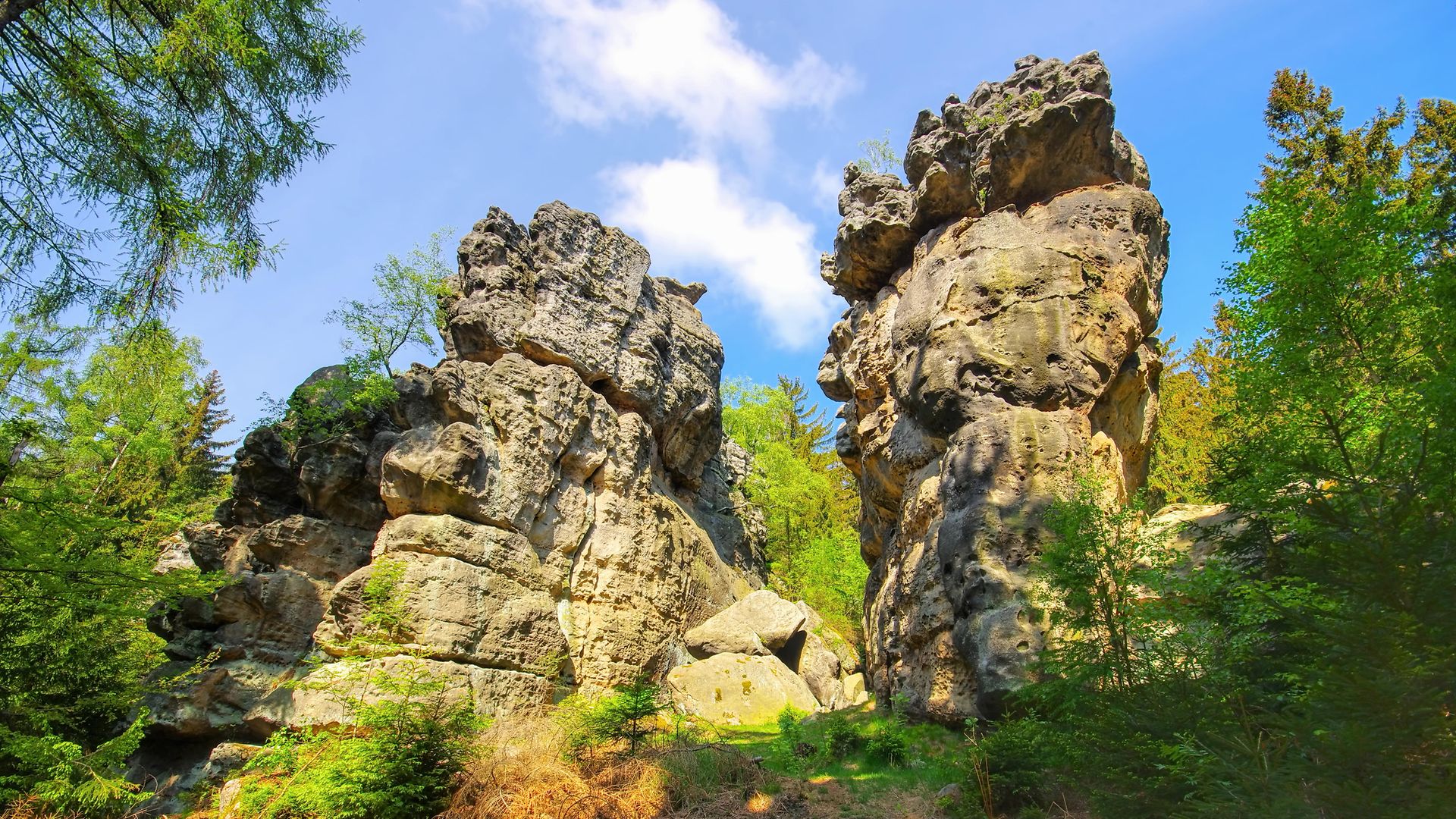Felsen im Zittauer Gebirge, Frühling