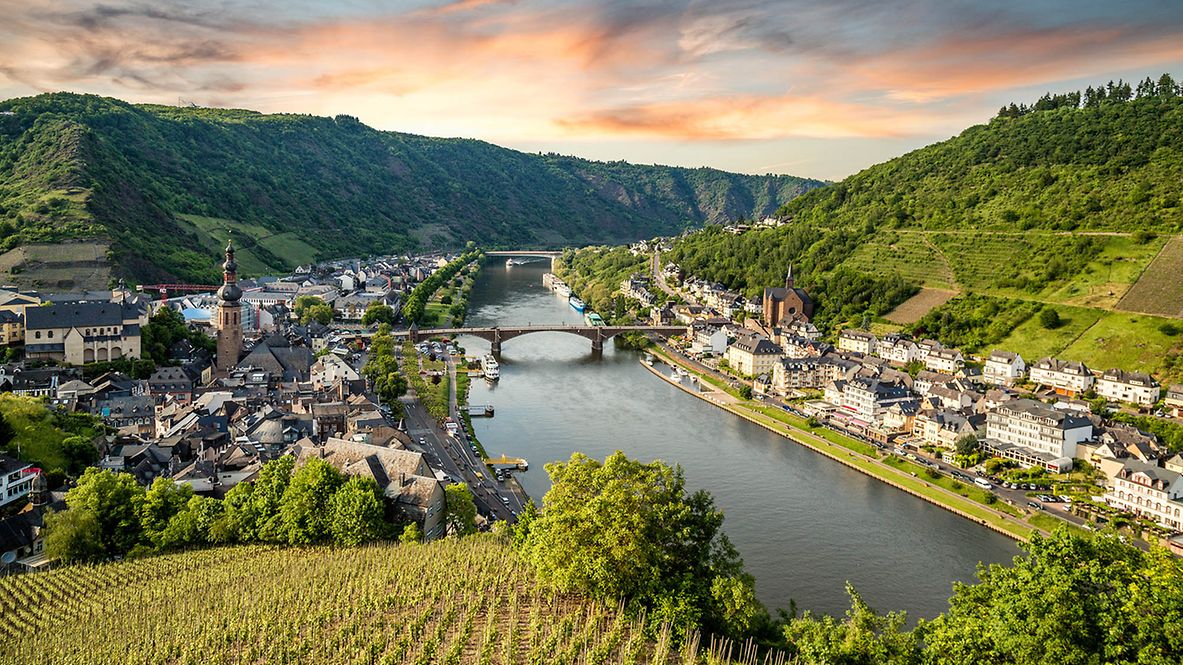 Aussicht Cochem von oben