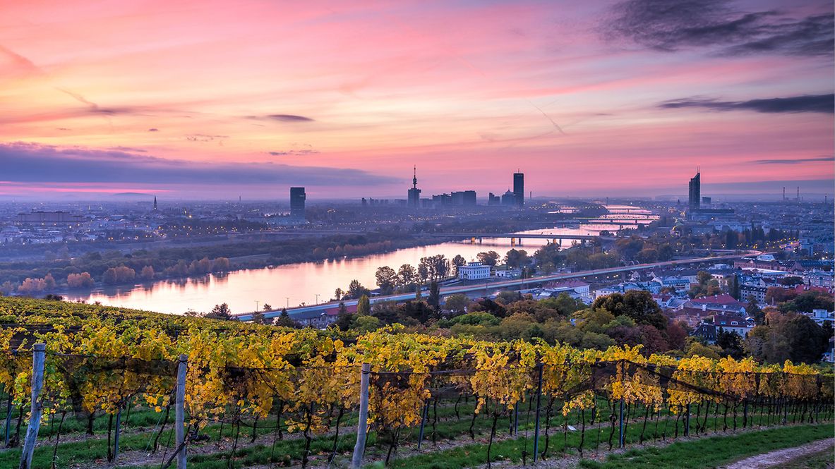 Skyline und Stadblick + Donau