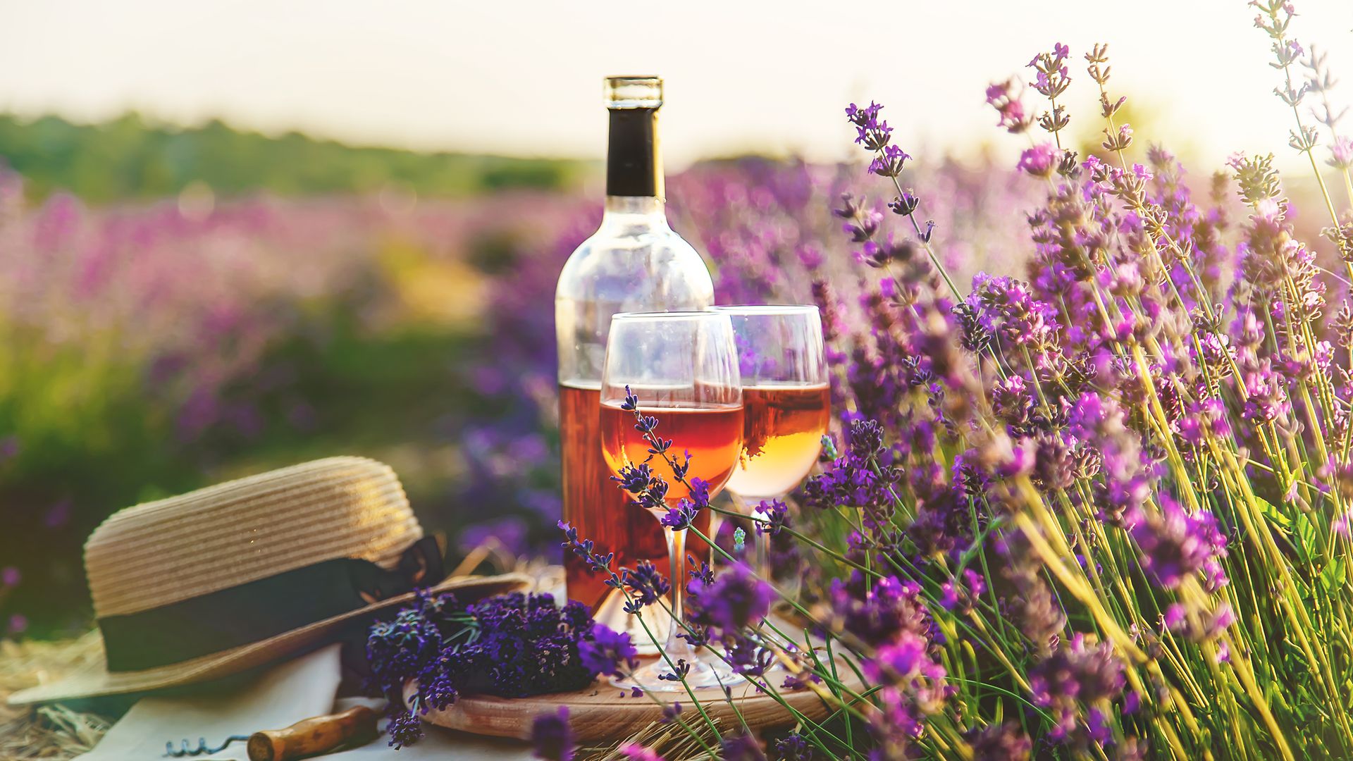 Wein in Gläsern. Picknick im Lavendelfeld. Selektiver Fokus. Die Natur.