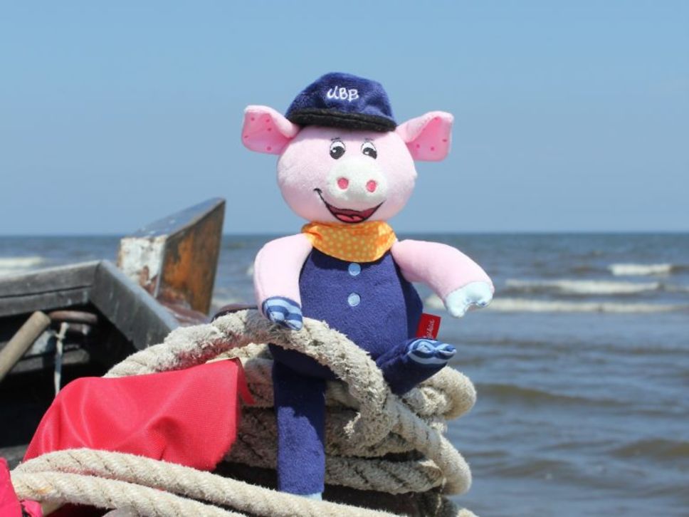 UBB Willi Maskottchen