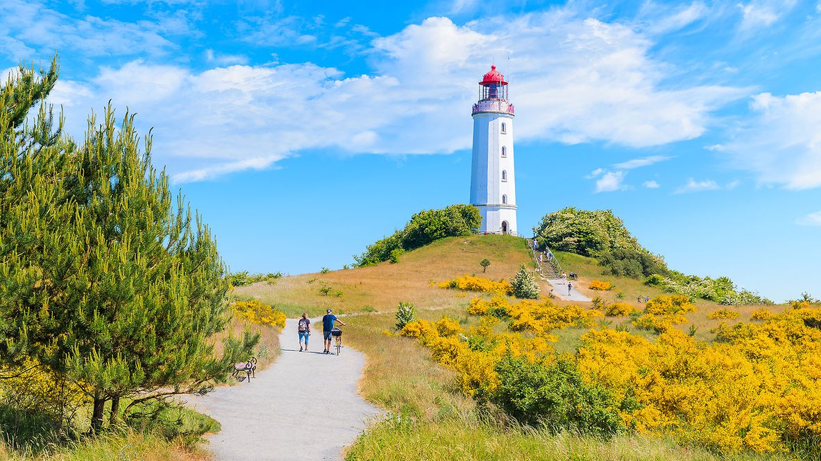 Weg zum Dornbusch-Leuchtturm in blühender Frühlingslandschaft an der Nordküste der Insel Hiddensee