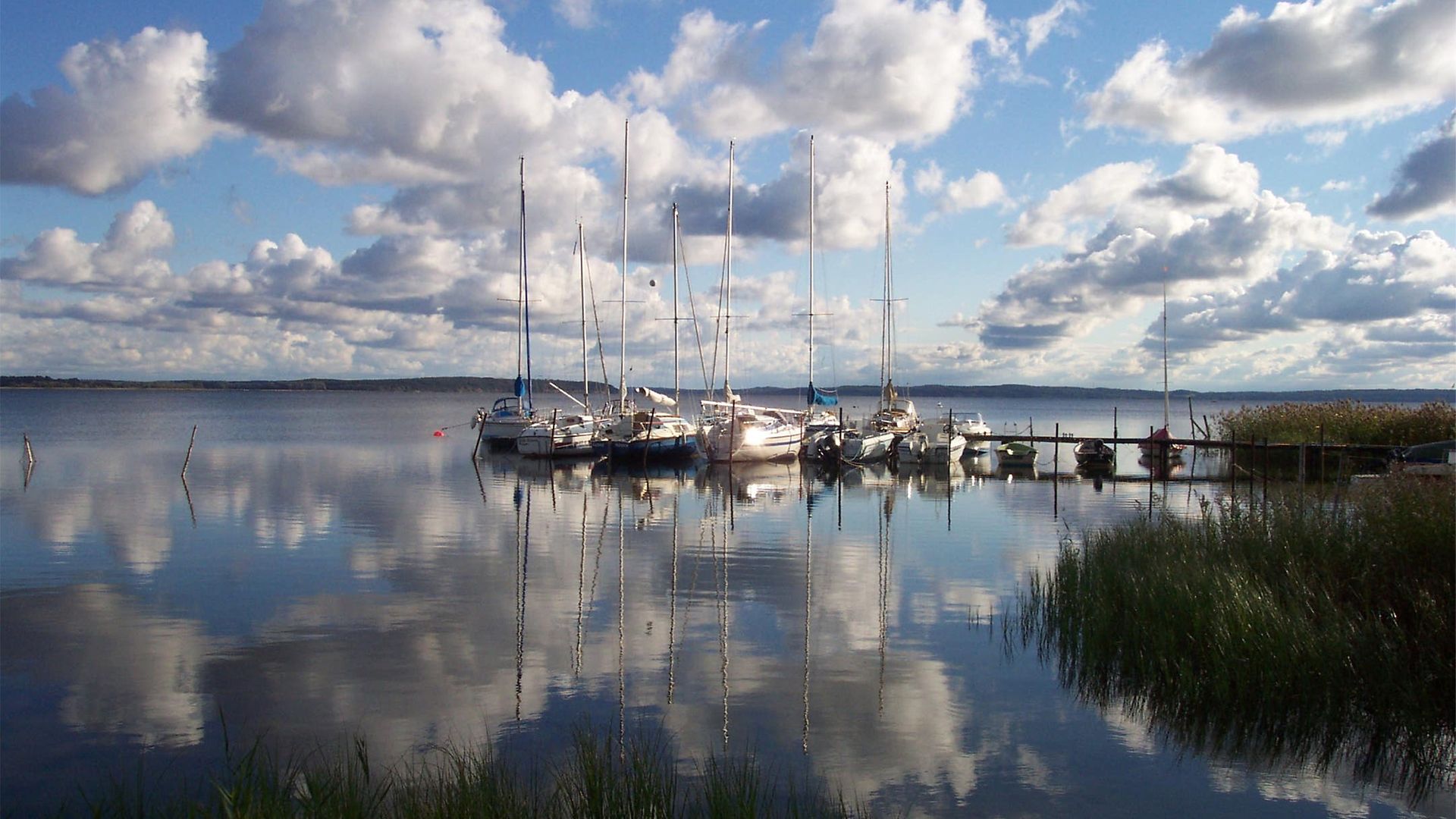 Am Großen Jasmunder BoddenWeddeort - Rügen