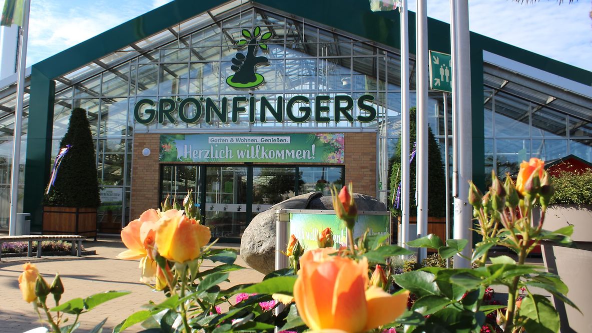 Grönfingers Frontansicht